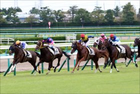 JRA阪急杯（G3）武豊ダイアナヘイローは「ヒモ止まり」！ 強気の「関係者情報予想」