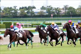 【阪神JF（G1）枠順確定】武豊シェーングランツの枠は？ 混迷2歳G1の重要枠順決定！