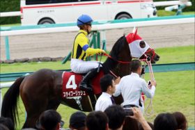 JRA藤岡佑介の「結論」は？ 京都記念（G2）ステイフーリッシュの”選択”に注目