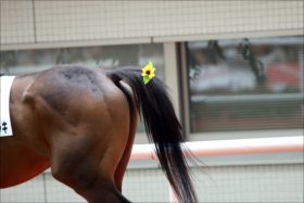 JRA「WIN5・6050円」に悲鳴のワケ……史上最低配当が示した「怖さ」と絶望？