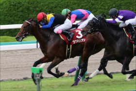 JRA金子オーナーも太鼓判!? ワグネリアン代打騎乗Vの藤岡康太騎手に他陣営からも熱視線？