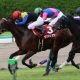【京都大賞典(G2)展望】シュヴァルグランなど強豪が集結! 大本命を止める「伏兵」陣も虎視眈々!?