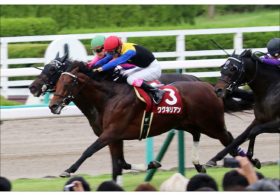 【大阪杯（G1）展望】JRA「G1馬8頭」集結！ 「復帰」ワグネリアンに「雪辱」ブラストワンピースなど、予測不能豪華決戦！