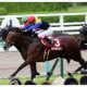 JRAアーモンドアイ危うし「世界No.2」マジカルと香港C激突へ!? 「日本の至宝」VS「超タフクイーン」実現は