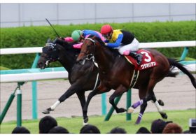 JRA大阪杯（G1）栗東・美浦から「耳寄り情報」ゲット！ あの「G1ホース」たちの本当の状態は……