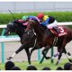 JRA「G1ダノン4連勝」可能性!? 「ダノックス」の正体と有力馬それぞれの「低くない障壁」