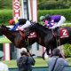 【日経賞（G2）展望】最強1勝馬エタリオウVS武豊メイショウテッコン！悲願のG1制覇を目指す「黄金世代」が激突!!