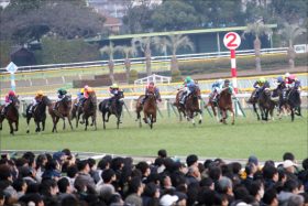 JRA柴田善臣「結構な馬」トーセンブレスがオークス出陣！ 距離延長大歓迎