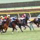 武豊「悶絶」リスグラシューがG1勝てない原因は騎手にあらず!? JRA・G1通算3勝「2着17回」競馬界最強の”シルバーコレクター”とは
