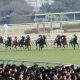 ブラストワンピース衝撃の新潟記念(G3)参戦発表……裏に「社台の使い分け」や「体質」も?