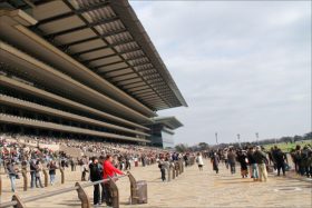 ヴィクトリアマイル「異常オッズ」に的中ファン悲鳴！？ 8番人気ジュールポレールと7番人気レッドアヴァンセで「美味しいワイド馬券」のハズが……