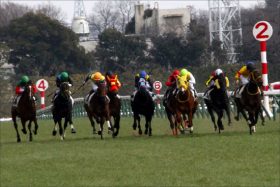 NHKマイルC（G1）カツジ「呪い」を解く？ ローテーション不安を一蹴できる理由