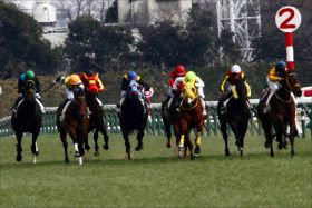 ディープインパクト「最終兵器」が桜花賞馬アーモンドアイに挑戦状？ 「現場で話題」のオハナがフローラS出陣