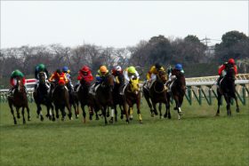 高松宮記念（G1）「覚醒」ファインニードルの檜舞台！ 順調すぎる状態も唯一の不安は