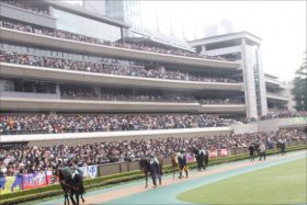 JRAが「新クラス」創設を発表！ 来年2019年1月から「G3」と「オープン」の間に導入される「リステッド競走」の全容