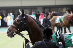 ヴィクトリアマイル（G1）レッドアヴァンセ「目覚め」の時？ 親から受け継ぐ「府中マイル適性」