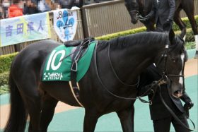 JRA札幌記念ゴーフォザサミット「トラブル」を吉に変える!? 3歳世代の「実力」指標に