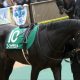 JRA名物馬主が「ナイママトラブル」激白で騒然……いつの間にか「所有」が移っていた?