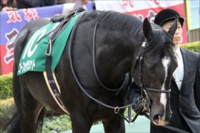 青葉賞（G2）は「関係者の本音」が心強いこの3頭で確定？ 有力情報で選んだ「至高の3頭」で一発を狙う