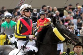 JRAミナリク「距離誤認」疑惑にファン騒然!? 中山記念（G2）ウインブライト「鞍上不安説」が再燃か