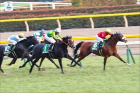 皐月賞（G1）「当確」オウケンムーンの”妄想”と現実。常識を覆す「第2のキタサンブラック」へ……地味馬だからこそ輝く「スター」の資質