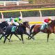 JRA菊花賞(G1)「乾坤一擲」オウケンムーンが大波乱の使者!? 父オウケンブルースリが成し遂げた「淀の伝説」再び