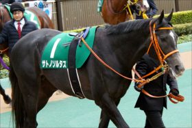 【中日新聞杯（G3）展望】C.スミヨン・O.マーフィー騎手参戦！ サトノソルタス、タニノフランケル、ラストドラフトの3つ巴か⁉