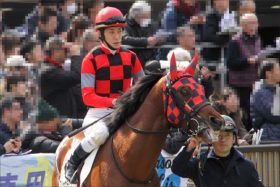 JRA津村明秀騎手「魔の福島開催」に怒りの声!? 福島リーディング獲得も、3週連続「大事故」勃発で”骨折騎手”だらけの事態に警鐘……