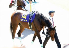 JRA中山牝馬S（G3）は「3点」で十分？ 至高の「関係者情報」で混戦を読み解く！