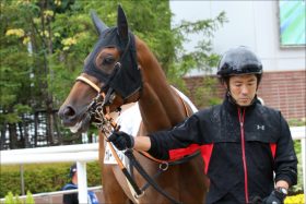 社台ファーム吉田照哉代表「絶賛」の逸材‼ 「ディープインパクト産駒の男馬では一番」世代の真打ちが、遂にそのベールを脱ぐ‼