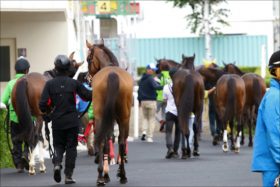 JRA種牡馬モーリス評価「大暴落」セレクトセールでドゥラメンテとの明暗クッキリも……真価を問われるのはまだ先の理由