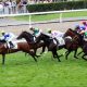 JRA“苦労人”調教師が騎手時代の度重なる“不運”乗り越え平地重賞初制覇! キーンランドC(G3)エイティーンガールが差し切り勝ち