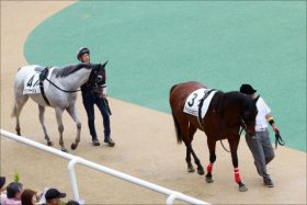 JRAキズナ3歳世代「勝率3.7%」の絶望……重賞6勝大活躍も、宿敵エピファネイアとセレクトセールで明暗分かれた「理由」とは