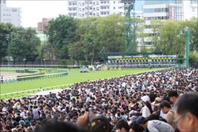 JRAを「震撼」させたコスモバルク2世VS藤田菜七子「絶賛」の超大物が激突！ 出世レース札幌2歳S（G3）に素質馬ズラリ