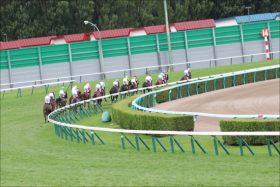 JRA「大暴走」が賛否両論呼んだお騒がせ馬に陣営が下した決断！ 「噛み合わなかった」騎手も謝罪…… ライバル陣営にとってまたとない朗報!?