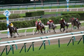 フェブラリーS（G1）藤田菜七子コパノキッキング初共演に報道陣殺到！「大波乱」へ自己ベスト大更新「超抜時計」はアノ馬！【1週前追い切りまとめ】