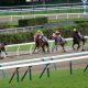 フェブラリーS(G1)藤田菜七子が欧州「若き天才」の想像を超える!? コパノキッキングが「マイルで勝てる」2つの理由