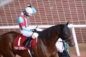 【小倉大賞典（G3）展望】JRA「逃げ馬勢揃い」超良血タニノフランケルも激流に飲み込まれる!?
