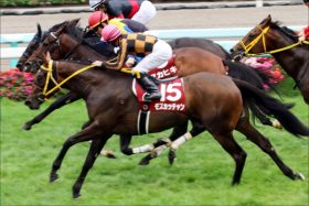 有馬記念（G1）M.デムーロ「完全復活」で本命レイデオロ危うし!? 朝日杯FSアドマイヤマーズ完璧騎乗で今週も「ルメール狩り」なるか