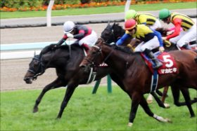 JRA天皇賞・秋（G1）「栗東」関係者情報入手……アルアイン、サングレーザーの「戦法」を入手？