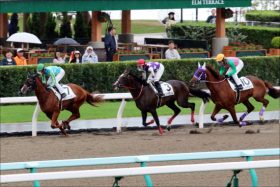 JRAシリウスS（G3）は関係者情報で軍資金ゲット？ 大本命グレイトパールを襲う「刺客」たちに注意