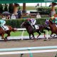 JRA京王杯2歳S&ファンタジーS「ダブル関係者情報予想」ウハウハの土曜日を過ごすために!?