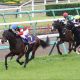 【葵S(重賞)展望】初代王者の栄光はどの馬に?3歳世代のスピード自慢が大集結!