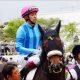 JRA武豊「絶賛」メイケイエールVS「規格外」の九州産馬ヨカヨカの無敗対決! メイショウマンボの初仔メイショウイチヒメも参戦!【ファンタジーS展望(G3)】