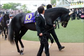 日本ダービー（G1）「美浦陣営太鼓判」の2頭で一攫千金？ 「トライアル覇者」「皐月賞馬券の立役者」