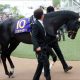 日本ダービー(G1)「最強1枠」タイムフライヤーが完全復活!? 松田国英調教師「これまでと雲泥の差」惨敗続きの”早熟”疑惑を一蹴!