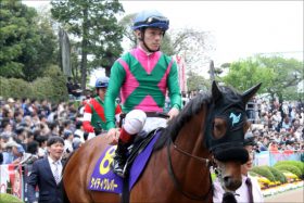 JRA「ドタバタ馬」ケイティクレバー飛躍の時？相棒小林徹弥とセントライト記念で飛躍？