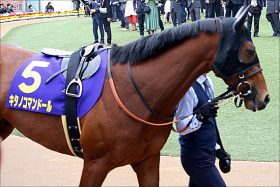 JRAデムーロ×キタノコマンドールで「ダービー制覇」へ万端？ 「不思議な力」あるも意外な「悪ジンクス」が