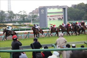 天皇賞・春（G1）チェスナットコート挑戦は「無謀」ではない？ 「血統」の強さとそのスピード