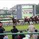 天皇賞・春(G1)レインボーラインには疑問!? 天才・楠原安里梨が見据える長距離戦の「結末」